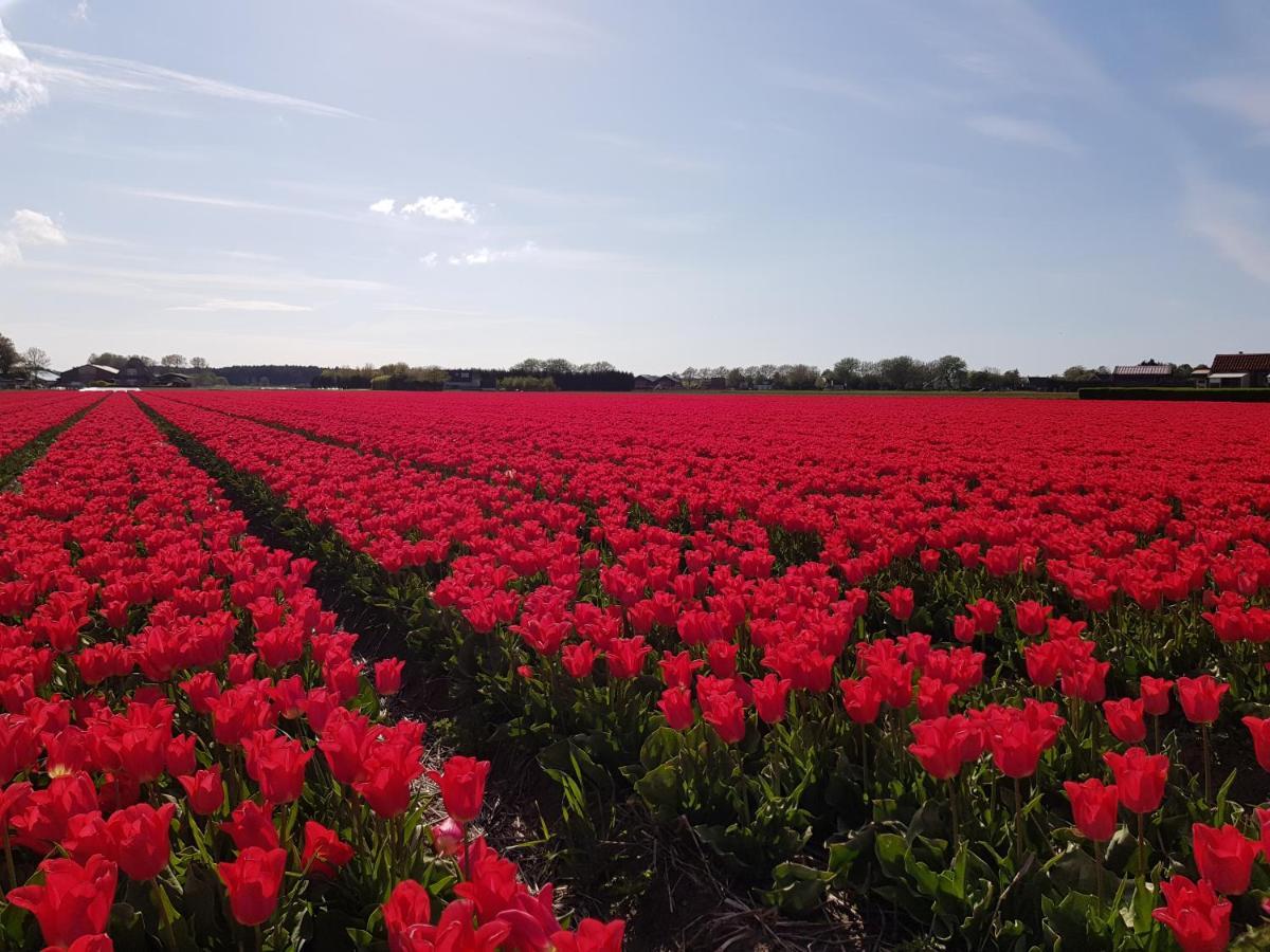 Kust-, Fiets-, Wandel-, Rust- & Cultuurlocatie Villa Castricum Kültér fotó
